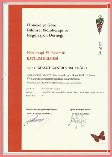 Nralterapi Kursu VI.Basamak Katlm Belgesi   