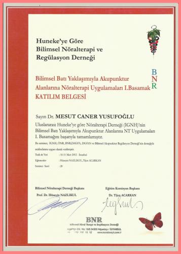 Bilimsel Bat Yaklamyla Akupunktur Alanlarna Nralterapi Uygulamalar I.Basamak Katlm Belgesi  
