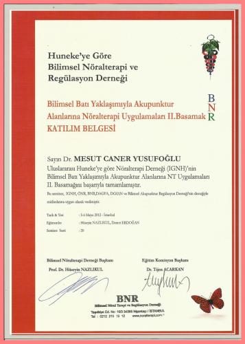 Bilimsel Bat Yaklamyla Akupunktur Alanlarna Nralterapi Uygulamalar II.Basamak Katlm Belgesi   