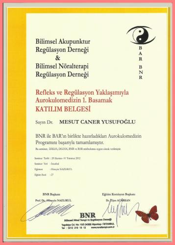 Refleks ve Reglasyon Yaklamyla Aurokulomedizin 1.Basamak Katlm Belgesi    