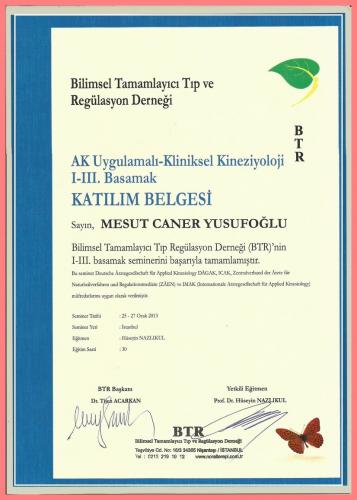 AK Uygulamal-Kliniksel Kinezyoloji I-III.Basamak Katlm Belgesi   