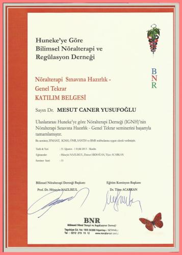 Nralterapi Snavna Hazrlk- Genel Tekrar Katlm Belgesi   