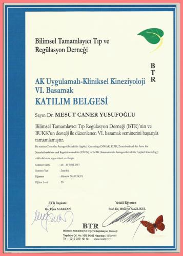 AK Uygulamal - Kliniksel Kinezyoloji VI.Basamak Katlm Belgesi   