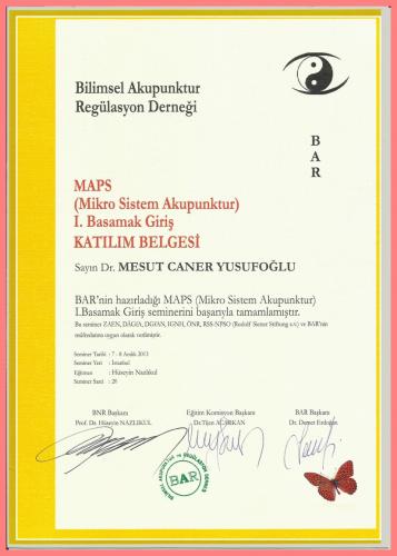 MAPS (Mikro Sistem Akupunktur) I.Basamak Girii Katlm Belgesi   
