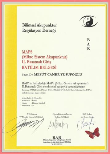 MAPS (Mikro Sistem Akupunktur) II.Basamak Giri Katlm Belgesi   
