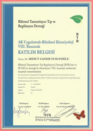 AK Uygulamal - Kliniksel Kinezyoloji VIII.Basamak Katlm Belgesi   