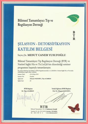 elasyon- Detoksifikasyon Katlm Belgesi   
